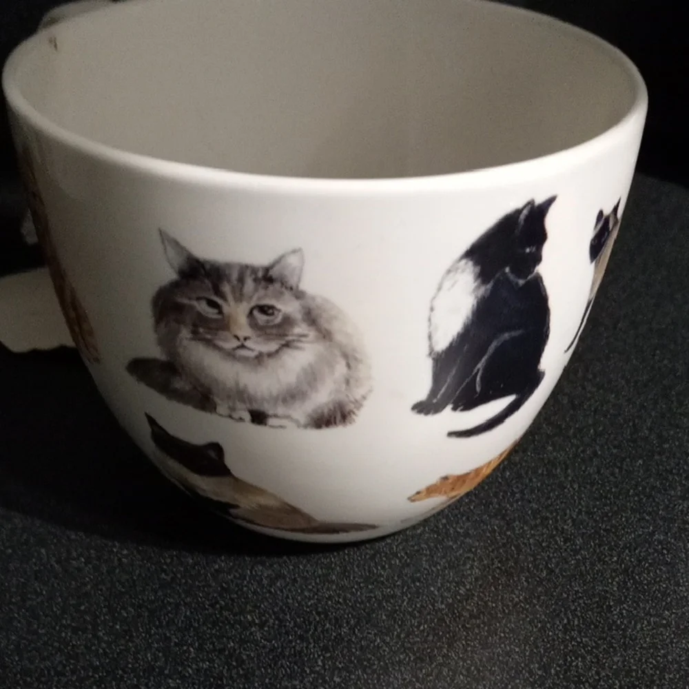 Cat China Cup with Charming Illustrations